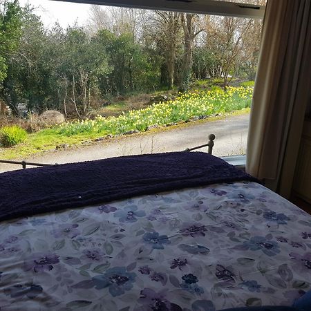 Hollybanks Apartment Moycullen ห้อง รูปภาพ